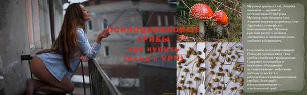 каннабис Абаза