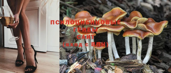 круглые Алзамай
