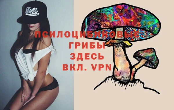 твердый Алексеевка