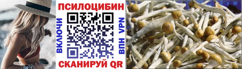 Псилоцибиновые грибы Cubensis  наркошоп  Усолье-Сибирское 